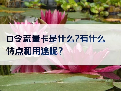 口令流量卡是什么？有什么特点和用途呢？