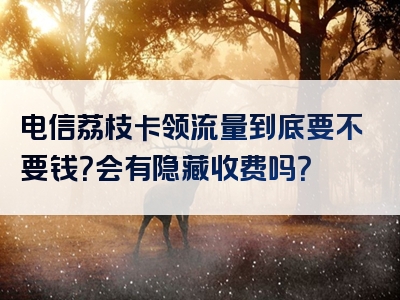 电信荔枝卡领流量到底要不要钱？会有隐藏收费吗？