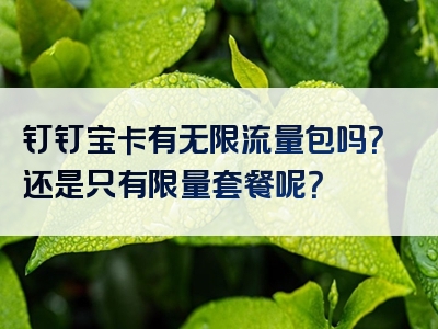 钉钉宝卡有无限流量包吗？还是只有限量套餐呢？