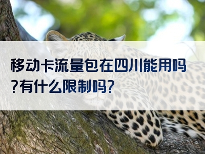 移动卡流量包在四川能用吗？有什么限制吗？