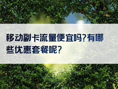 移动副卡流量便宜吗？有哪些优惠套餐呢？