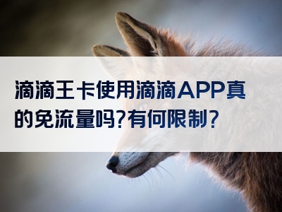 滴滴王卡使用滴滴APP真的免流量吗？有何限制？