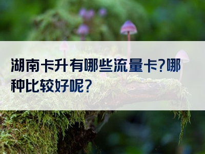 湖南卡升有哪些流量卡？哪种比较好呢？