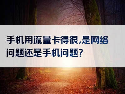 手机用流量卡得很，是网络问题还是手机问题？