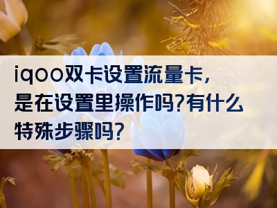 iqoo双卡设置流量卡，是在设置里操作吗？有什么特殊步骤吗？