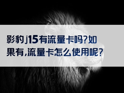影豹j15有流量卡吗？如果有，流量卡怎么使用呢？