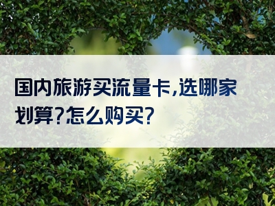 国内旅游买流量卡，选哪家划算？怎么购买？
