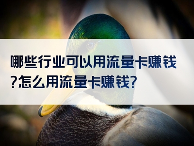 哪些行业可以用流量卡赚钱？怎么用流量卡赚钱？