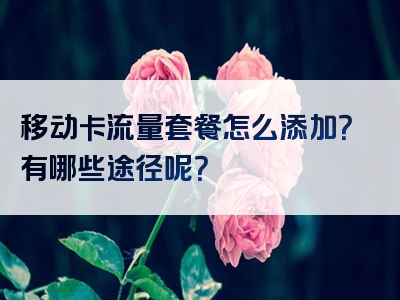 移动卡流量套餐怎么添加？有哪些途径呢？