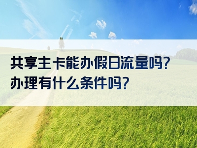 共享主卡能办假日流量吗？办理有什么条件吗？