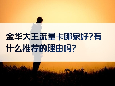 金华大王流量卡哪家好？有什么推荐的理由吗？