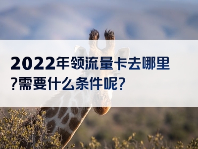 2022年领流量卡去哪里？需要什么条件呢？