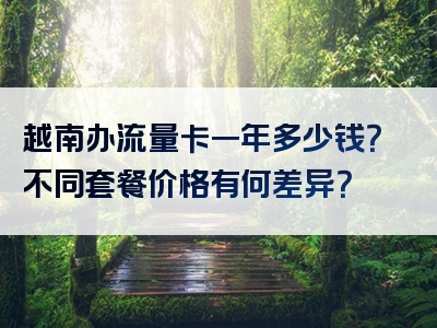 越南办流量卡一年多少钱？不同套餐价格有何差异？
