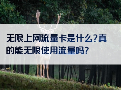无限上网流量卡是什么？真的能无限使用流量吗？