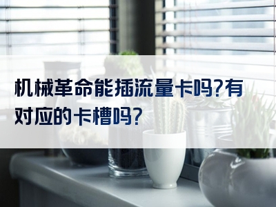 机械革命能插流量卡吗？有对应的卡槽吗？