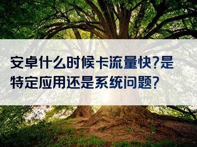 安卓什么时候卡流量快？是特定应用还是系统问题？
