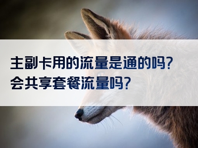 主副卡用的流量是通的吗？会共享套餐流量吗？