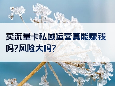卖流量卡私域运营真能赚钱吗？风险大吗？