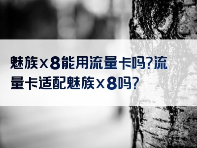 魅族x8能用流量卡吗？流量卡适配魅族x8吗？