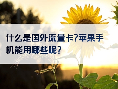什么是国外流量卡？苹果手机能用哪些呢？