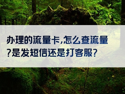 办理的流量卡，怎么查流量？是发短信还是打客服？