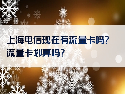 上海电信现在有流量卡吗？流量卡划算吗？