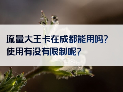 流量大王卡在成都能用吗？使用有没有限制呢？