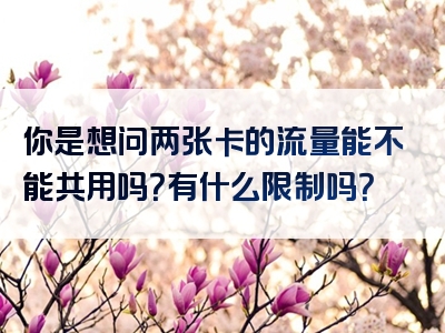你是想问两张卡的流量能不能共用吗？有什么限制吗？