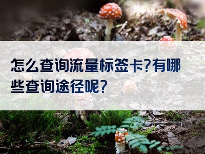 怎么查询流量标签卡？有哪些查询途径呢？