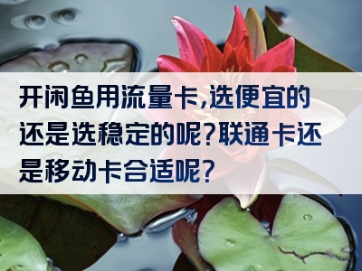 开闲鱼用流量卡，选便宜的还是选稳定的呢？联通卡还是移动卡合适呢？