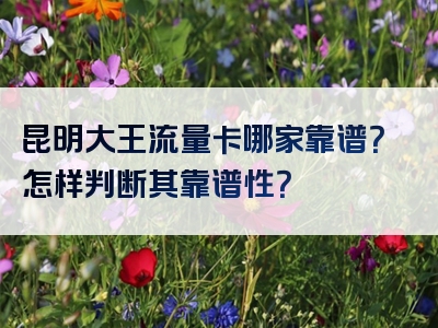 昆明大王流量卡哪家靠谱？怎样判断其靠谱性？