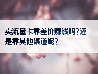 卖流量卡靠差价赚钱吗？还是靠其他渠道呢？