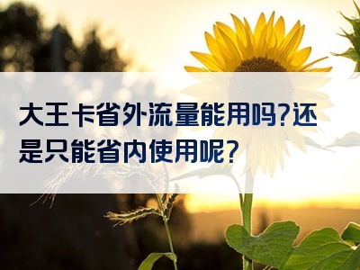 大王卡省外流量能用吗？还是只能省内使用呢？