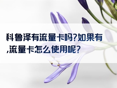科鲁泽有流量卡吗？如果有，流量卡怎么使用呢？