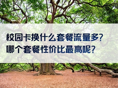 校园卡换什么套餐流量多？哪个套餐性价比最高呢？