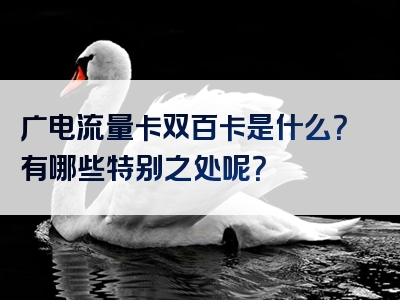 广电流量卡双百卡是什么？有哪些特别之处呢？