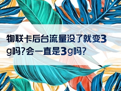 物联卡后台流量没了就变3g吗？会一直是3g吗？