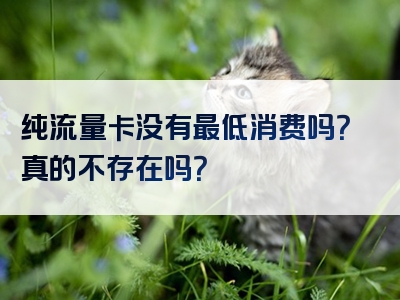 纯流量卡没有最低消费吗？真的不存在吗？