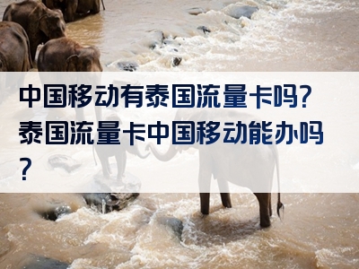 中国移动有泰国流量卡吗？泰国流量卡中国移动能办吗？