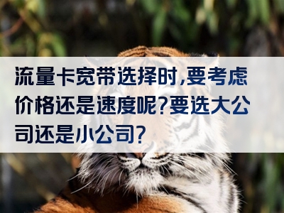 流量卡宽带选择时，要考虑价格还是速度呢？要选大公司还是小公司？