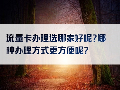 流量卡办理选哪家好呢？哪种办理方式更方便呢？