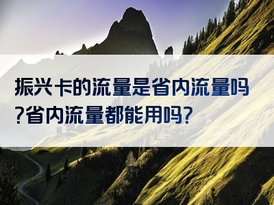 振兴卡的流量是省内流量吗？省内流量都能用吗？