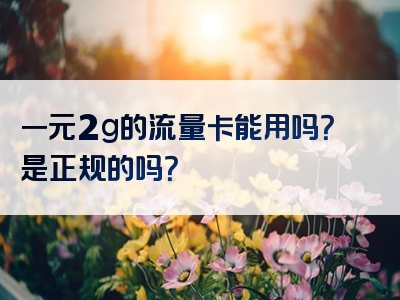 一元2g的流量卡能用吗？是正规的吗？