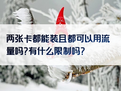 两张卡都能装且都可以用流量吗？有什么限制吗？