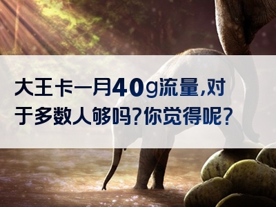 大王卡一月40g流量，对于多数人够吗？你觉得呢？