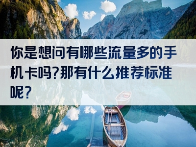 你是想问有哪些流量多的手机卡吗？那有什么推荐标准呢？