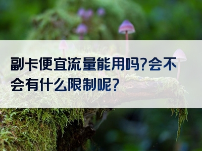 副卡便宜流量能用吗？会不会有什么限制呢？