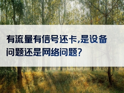 有流量有信号还卡，是设备问题还是网络问题？
