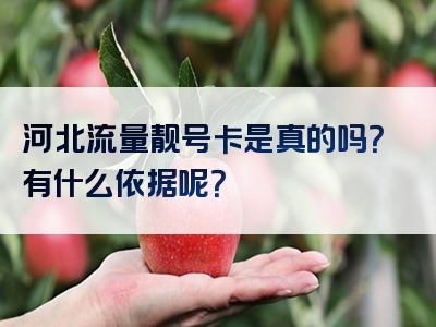 河北流量靓号卡是真的吗？有什么依据呢？