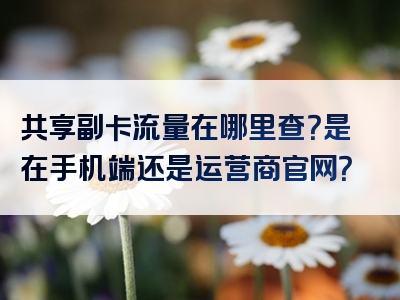 共享副卡流量在哪里查？是在手机端还是运营商官网？